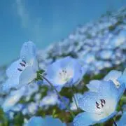 ちっち プロフ必読の画像
