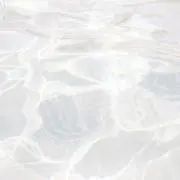 Rの画像