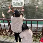 ♡いと♡の画像