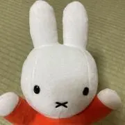 ラクダの画像