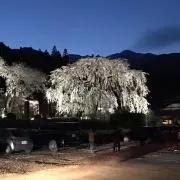 Image of 文房具・事務用品 専門店Kuro
