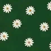 やすこⒿの画像