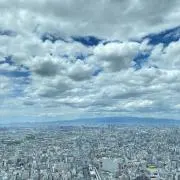 ØDLの画像