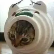 みなみの画像