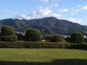 るるの画像