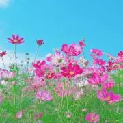 みあの画像