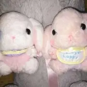 ゆずとろ