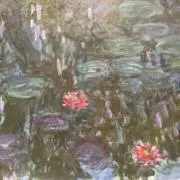 たまこの画像