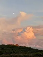 あさの画像