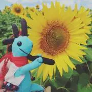 SORAIRO☆即購入歓迎☆の画像