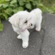 みっちっちの画像