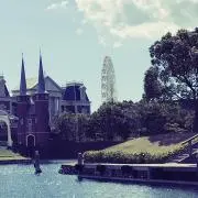 シバネコの画像