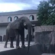 みきの画像
