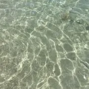 ⭐︎S.T⭐︎の画像