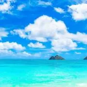 mgm(プロフィール必読)の画像