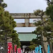koto@