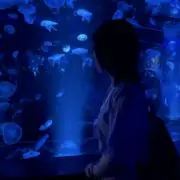 C/Cの画像