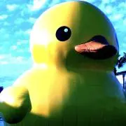 gawaの画像