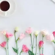 jasmineの画像