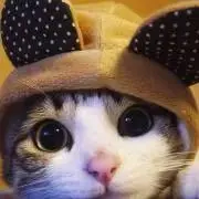 み！の画像