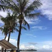 hawaiian.natsumiの画像