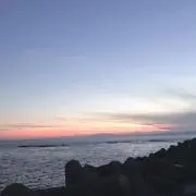 どうもさん