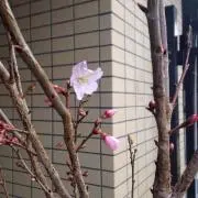 なんとかなる❣️