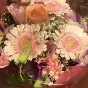 チーコの画像