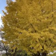 断捨離ママ⭐︎の画像