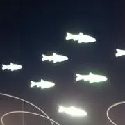 さかなの画像