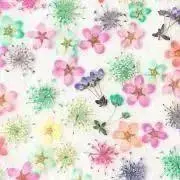 にいるの画像