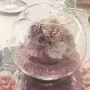ねむちゃんの画像
