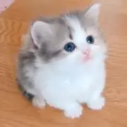 ラブリーヌ