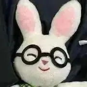 こたつでみかんの画像