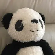✳︎✳︎✳︎ぱんだっち✳︎✳︎✳︎の画像