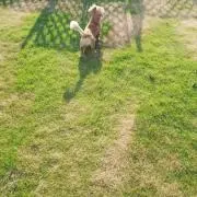 mkの画像