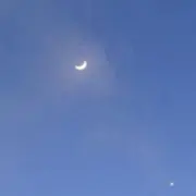 いらの画像