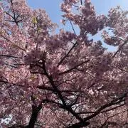 pi(ง ˙˘˙ )วpi@プロフ要確認の画像