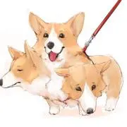 ナゲットの画像