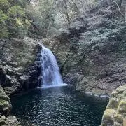 nikoの画像
