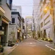 おさかなの画像