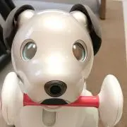 まるの画像