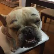 ぶる