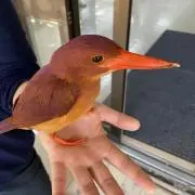 Kotacha♡韓流の画像