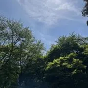まきの画像