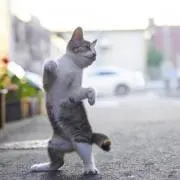 まぁの画像