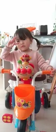 ナミの画像
