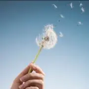 ˖⋆*̣❆ぽぽ❆*̩⋆˖の画像