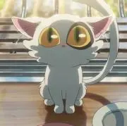まゆ