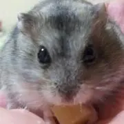 まさみ